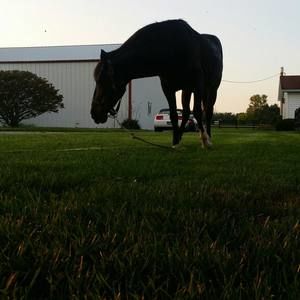 Meet your Posher, Janice